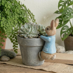 May include: A gray concrete planter with a light green succulent and a decorative rabbit figure wearing a blue jacket. The rabbit is clinging to the side of the planter. Other plants are in the background.