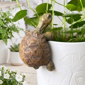 Puede incluir: Una detallada figura de tortuga de resina marrón decora una maceta de cerámica blanca. La tortuga parece estar saliendo de la maceta, añadiendo un toque caprichoso al jardín. La maceta tiene un diseño decorativo de hojas.
