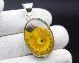 Ammonite Fossil Gemstone 925 Sterling Silver Pendant Necklace: Statement Jewelry