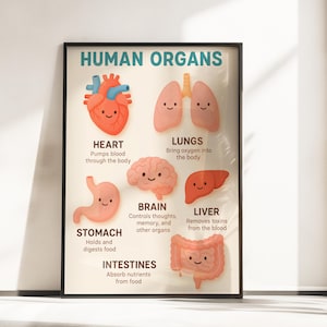 Könnte beinhalten: Ein gerahmtes Poster mit der Aufschrift "HUMAN ORGANS" zeigt Cartoon-Illustrationen von Herz, Lunge, Gehirn, Leber, Magen und Darm. Jedes Organ hat ein lächelndes Gesicht und eine kurze Beschreibung seiner Funktion im Körper.