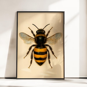 Pode incluir: Impressão emoldurada com uma ilustração detalhada de uma abelha. A abelha tem um abdómen listrado em preto e amarelo, pernas pretas e asas translúcidas. A obra de arte está sobre um fundo creme e emoldurada em uma moldura preta.