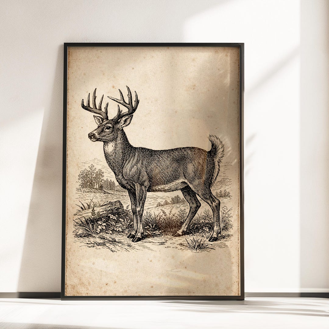 Whitetail Deer Hunting Wall Art, Vintage Wildlife Print for Rustic ...