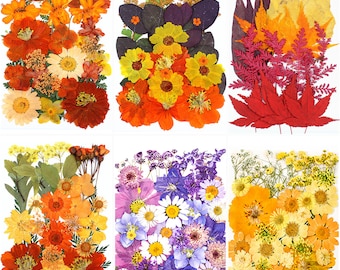 A Pack of 15-35 pcs Mini Dried Pressed Flowers, Wedding Card Making, Flower Cake Decorations, Dried Flowers for Resin Projects