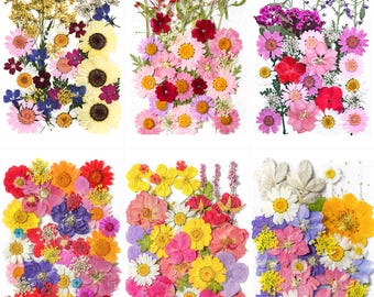 A Pack of 15-35 pcs Mini Dried Pressed Flowers, Wedding Card Making, Flower Cake Decorations, Dried Flowers for Resin Projects