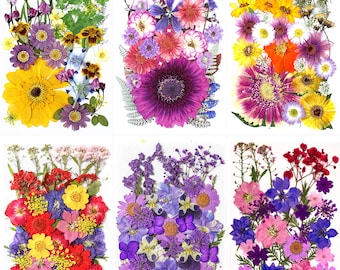 A Pack of 15-35 pcs Mini Dried Pressed Flowers, Wedding Card Making, Flower Cake Decorations, Dried Flowers for Resin Projects