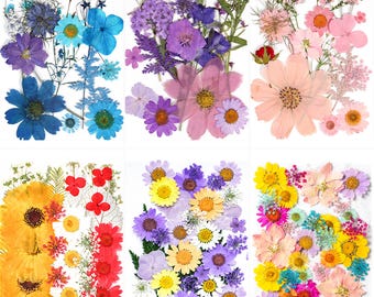 A Pack of 15-35 pcs Mini Dried Pressed Flowers, Flower Cake Decorations, Wedding Card Making, Dried Flowers for Resin Projects