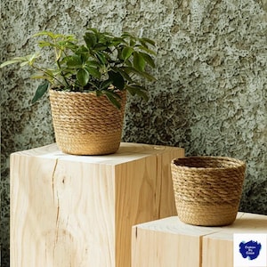 Może przedstawiać: Dwie plecione, jasnobrązowe donice, jedna wypełniona zieloną rośliną liściastą. Donice stoją na jasnych drewnianych blokach na tle teksturowanej, szarozielonej ściany. Mniejsza donica jest pusta.