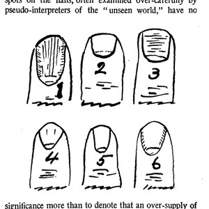 May include: A black and white illustration titled "THE NAILS" showing six stylized drawings of fingernails, each with a number from 1 to 6. The text discusses nail characteristics and health.