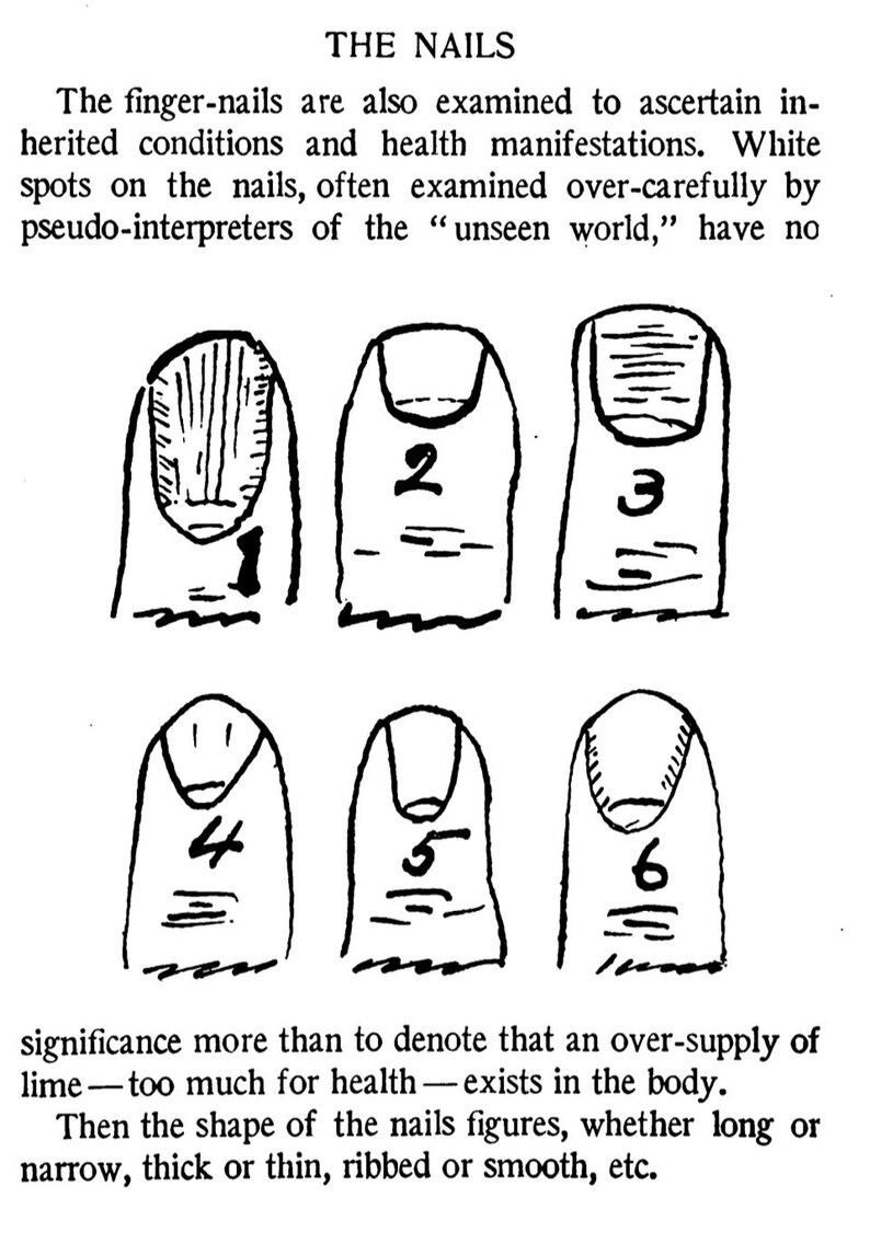 May include: A black and white illustration titled "THE NAILS" showing six stylized drawings of fingernails, each with a number from 1 to 6. The text discusses nail characteristics and health.