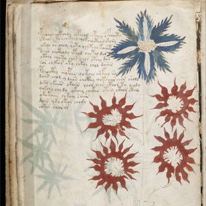 Occult Cryptography and Symbolic Ciphers – 83 Rare Texts on Magical ...