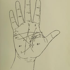 May include: A black and white illustration of a palm with lines and symbols, labeled with letters and asterisks. The text at the bottom reads "MODIFICATIONS OF THE PRINCIPAL LINES. Plate XVIII."