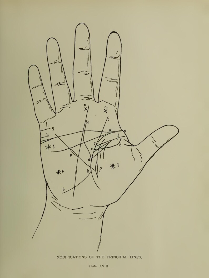 May include: A black and white illustration of a palm with lines and symbols, labeled with letters and asterisks. The text at the bottom reads "MODIFICATIONS OF THE PRINCIPAL LINES. Plate XVIII."