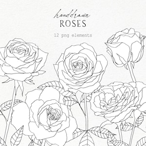 Rose clipart, hand-drawn rose clipart, floral digital art, black and white printable illustration, roses PNG, floral clipart
