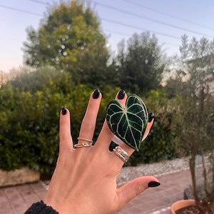 Può includere: Una mano con smalto nero sfoggia diversi anelli, tra cui una fascia dorata con piccole pietre e un anello d'argento con un design strutturato. Una foglia verde scuro con venature evidenti è tenuta tra le dita.