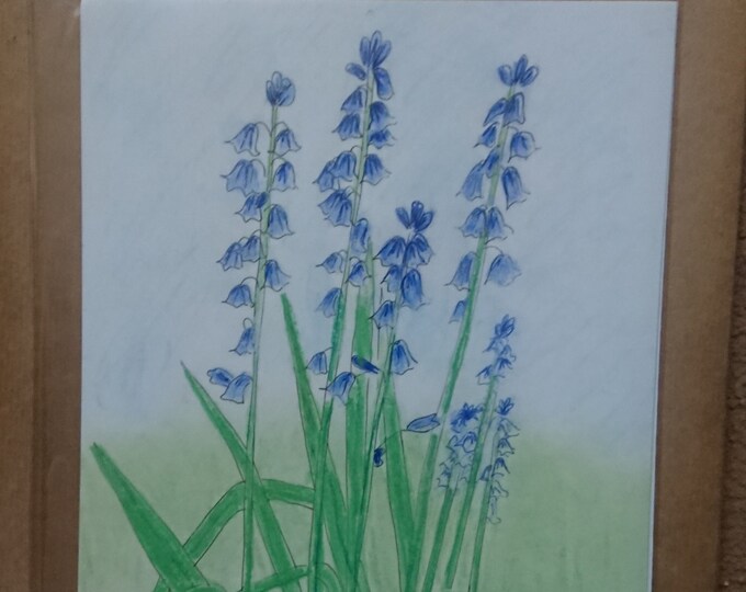 Card, print, original art of Bluebells