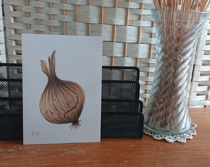 Original Onion pencil drawing, vegetable art, still life, print and cards