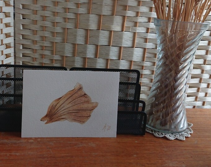 Onion skin pencil drawing original still life art, or cards