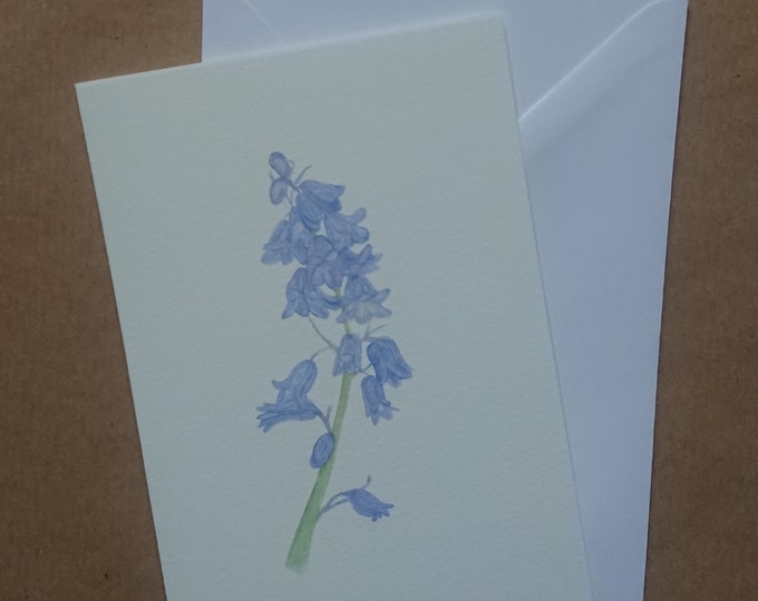 Bluebells card or print, flower fine art limited edition, gift box, original art