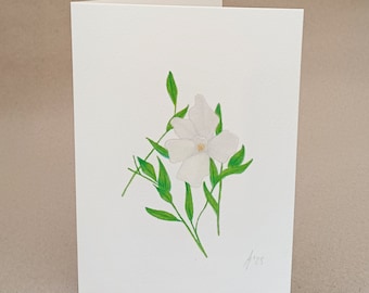 White Periwinkle card and original art, prints to order