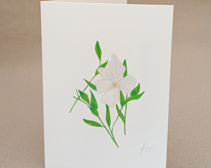 White Periwinkle card and original art, prints to order