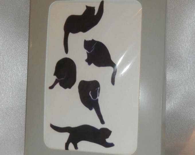 Cats card, box of 5 cards, blank inside for your own message