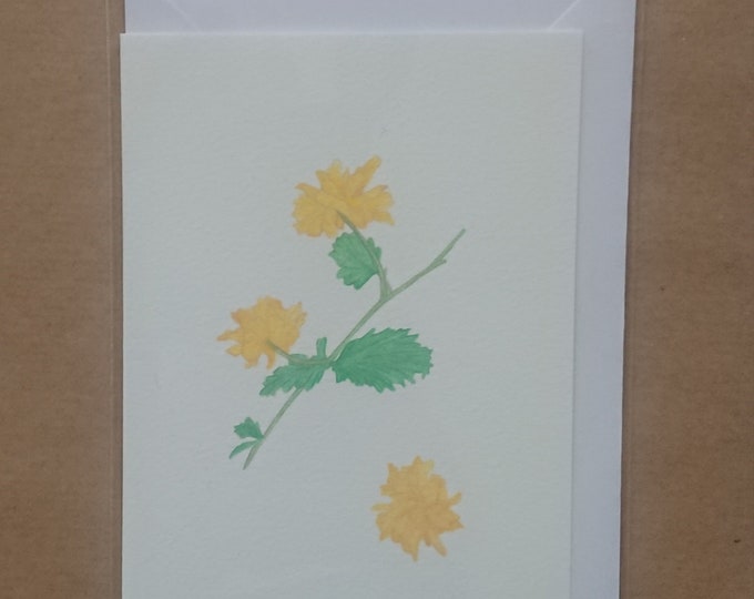 Card, print and original art of Kerria botanical artwork