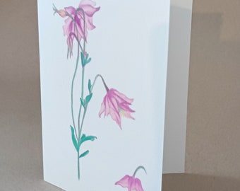 Columbine card or print of Aquilegia flowers, original art unmounted
