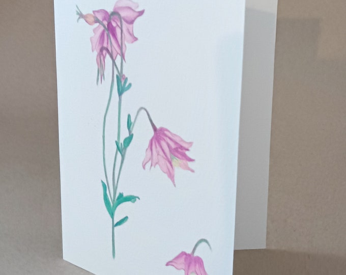 Columbine card or print of Aquilegia flowers, original art unmounted