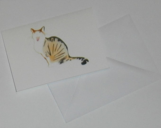 Sam, tabby and white cat card, blank inside