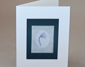 One Bluebell card, framed art, prints to order