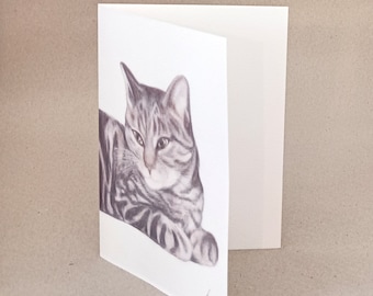 Tabby cat card, print and original pencil drawing