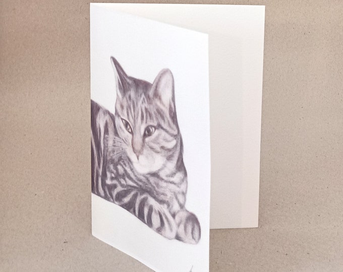 Tabby cat card, print and original pencil drawing