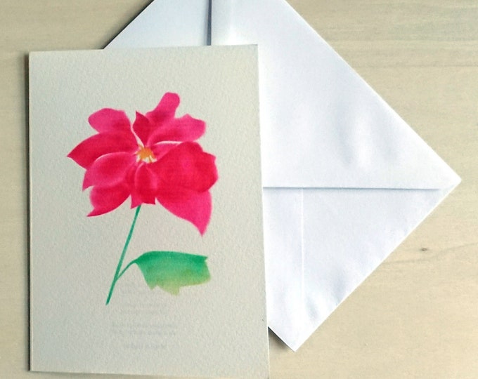 Poinsettia red traditional Christmas flower blank inside card, box of Christmas cards