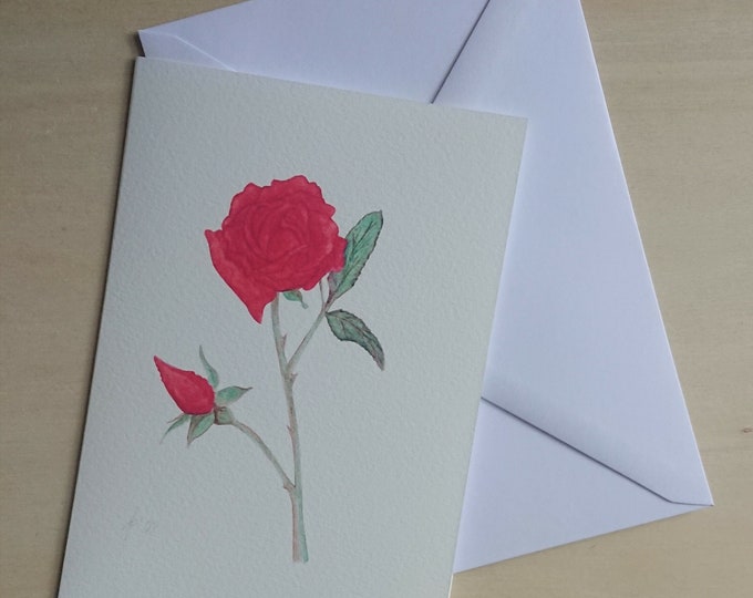 Pastel Rose card, Valentine, botanical red rose art limited edition print, unmounted original artwork