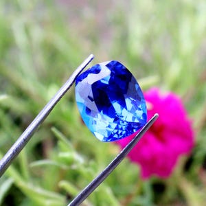 K&ouml;nnte beinhalten: Ein facettierter, tiefblauer Edelstein, gehalten von einer silbernen Pinzette. Der Stein hat einen Kissenschliff und reflektiert das Licht, wodurch seine Brillanz zur Geltung kommt. Im Hintergrund gr&uuml;nes Laub und eine pinkfarbene Bl&uuml;te.