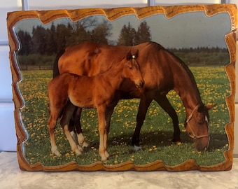 Placa de madera vintage con diseño de caballo, yegua y potro (transferencia fotográfica) / Estilo rústico ecuestre