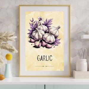 Rustic Garlic Kitchen Wall Art Botanical Garlic Print Farmhouse Herb Poster – Vintage Vegetable Illustration Garlic Decor for Dining Room.