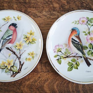 Prinknash Plate - Etsy UK