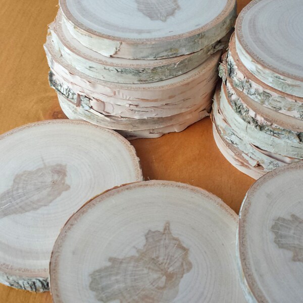 15 White Birch Wood Slices, 3.25 inch Hand Cut and Sanded White Birch Wood Pieces, Wood Rounds