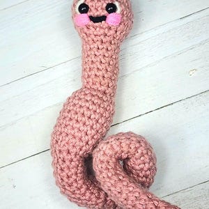 Chuckles the Earthworm, Worm Crochet Amigurumi Pattern by Rachael&#39;s Scraps, written in US Terminology