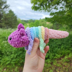 Axolotl fidget Toy and Bonus Dragon Wing Mod, Crochet Amigurumi Pattern by Rachael&#39;s Scraps, written in US Terminology