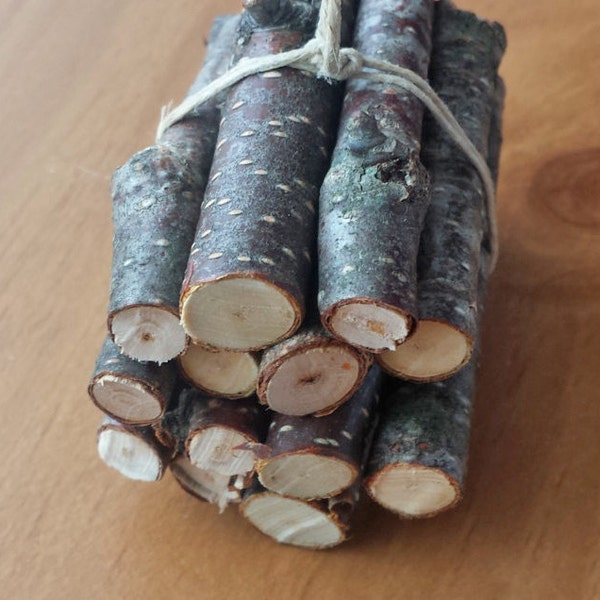 Mini Log Bundle, Small Hand Cut Real White Birch Logs for Crafts, Doll Houses, Fairy Gardens, Mini Wood Pile, Mini Firewood, Fairy Firewood