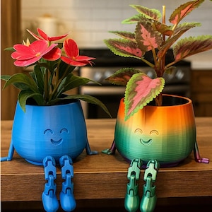 May include: Two quirky plant pots with smiling faces and attached legs. One is blue and holds red flowers, the other is a gradient of green, orange, and purple with a plant with pink and green leaves. Both are on a wooden surface.