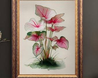 Caladium Wall Art Print, Botanical Watercolor Painting, Tropical Botanical Art, Cottagecore Wall Decor, Nature Print