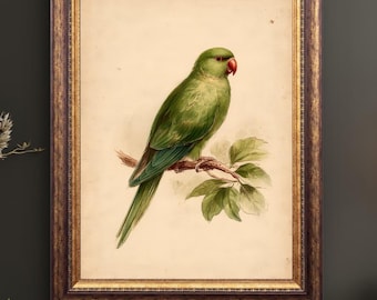 Vintage Green Parrot Wall Art, Botanical Bird Print, Antique Parakeet Illustration, Cottagecore Decor, Tropical Bird Printable