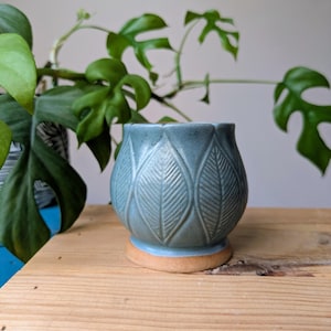 May include: A blue ceramic plant pot with a leaf design. The pot has a rounded form and rests on a light brown base. Green plants are visible in the background, suggesting a home decor theme.