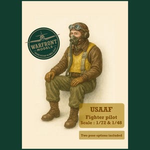 WW2 USAAF Fighter Pilot