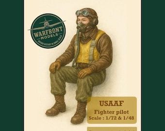 WW2 USAAF Fighter Pilot