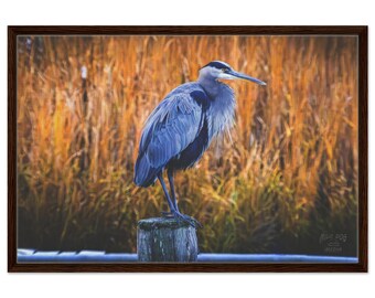 Blue Heron Framed Canvas Art – Nature Bird Photography Home Decor