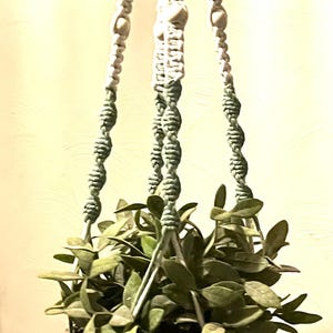 CHRISTELLE suspension